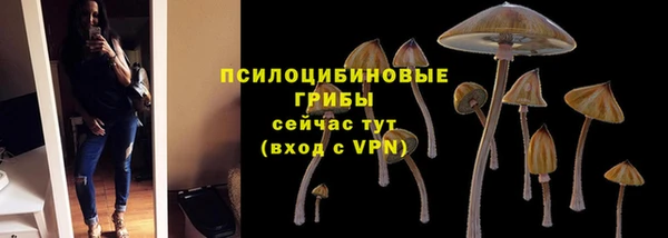 ECSTASY Дмитровск