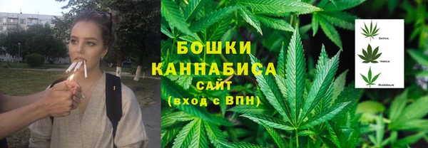 Альфа ПВП Дмитров